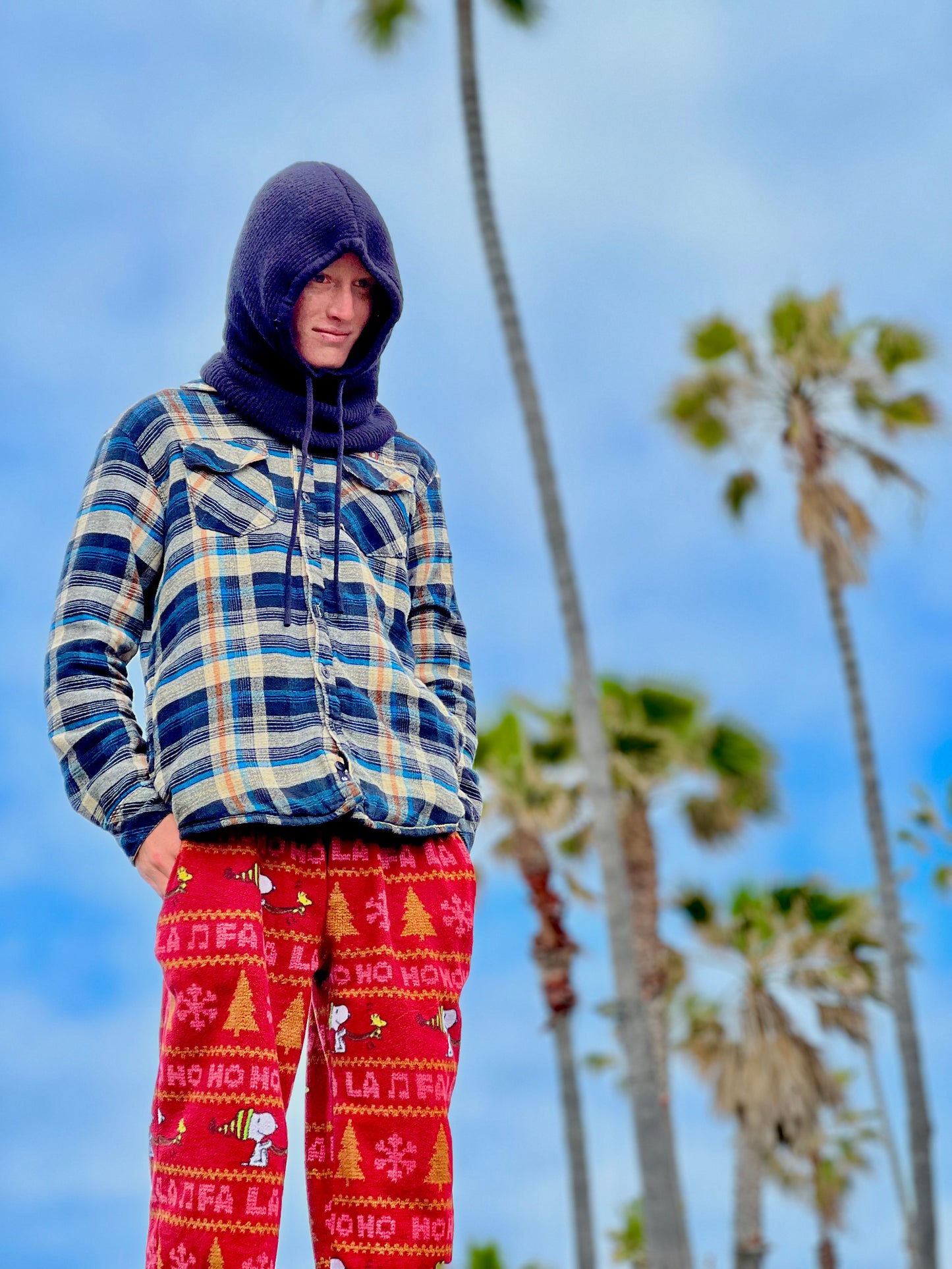 Cashmere Hoodlum
